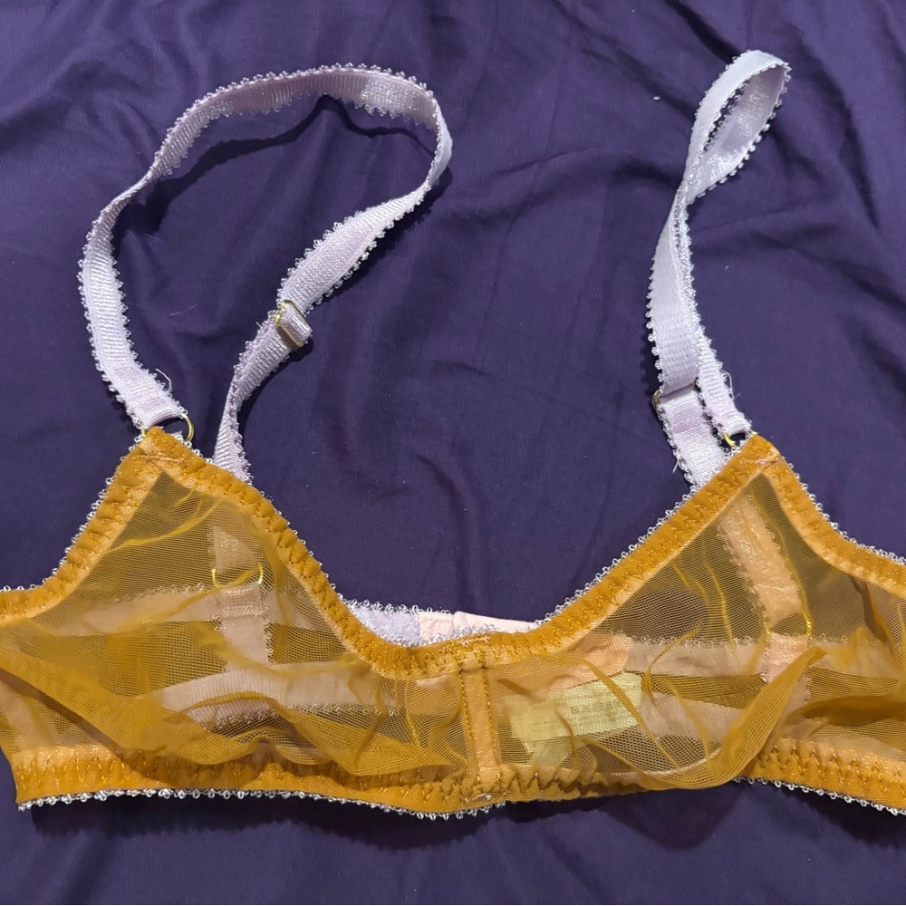 Dora Larsen Size 4 burnt orange Bralette